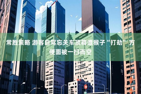 常胜策略 游客自驾忘关车顶箱遭猴子“打劫” 方便面被一扫而空