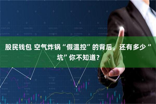 股民钱包 空气炸锅“假温控”的背后，还有多少“坑”你不知道？